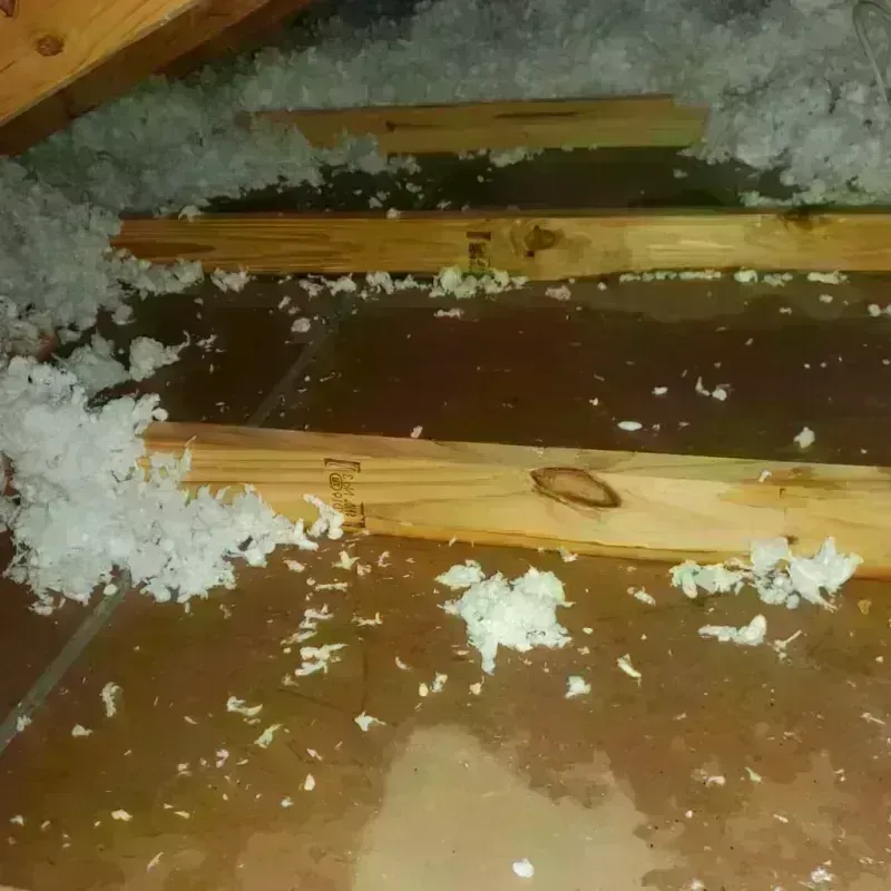 Attic Water Damage in Troy, AL