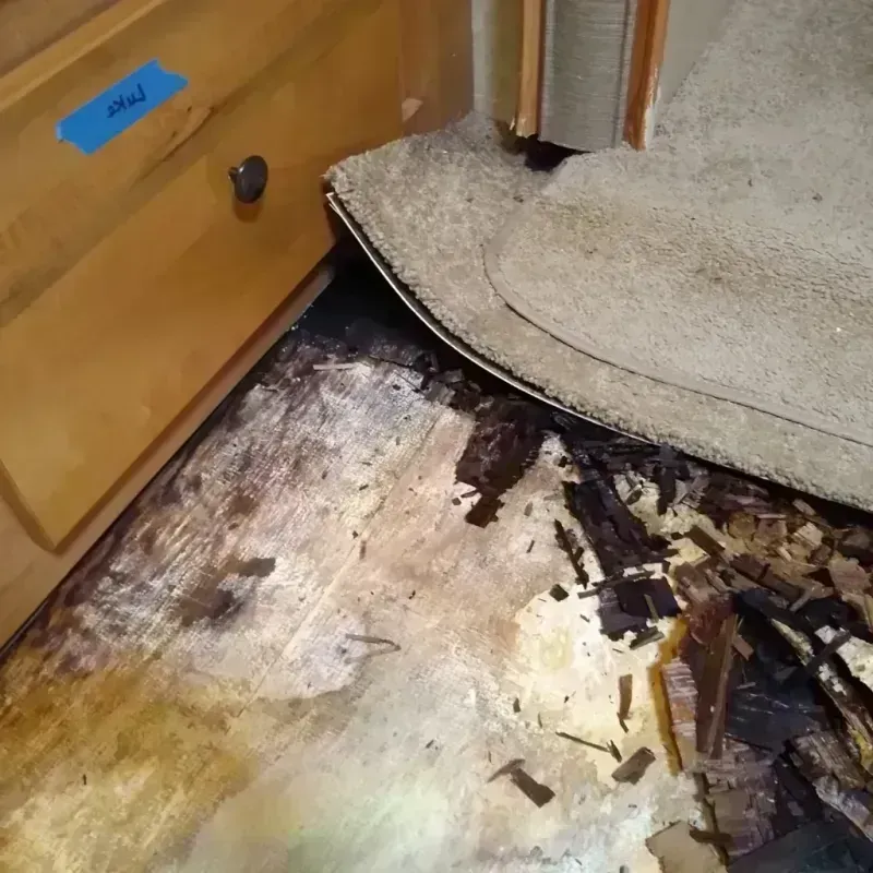 Wood Floor Water Damage in Troy, AL